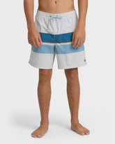 Good Times Layback 16" Trunks - Silver