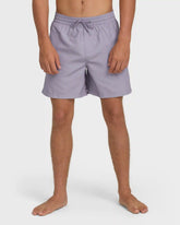 All Day Laybacks 16" Trunks - Purple Ash