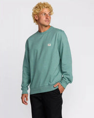 All Day Crewneck Sweatshirt - Sage Green