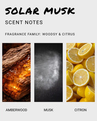 Solar Musk Solid Cologne